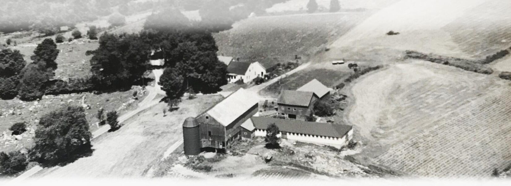 Aerial view of a rural farm surrounded by fields and trees, featuring multiple buildings including a barn and silos, showcasing the agricultural landscape.