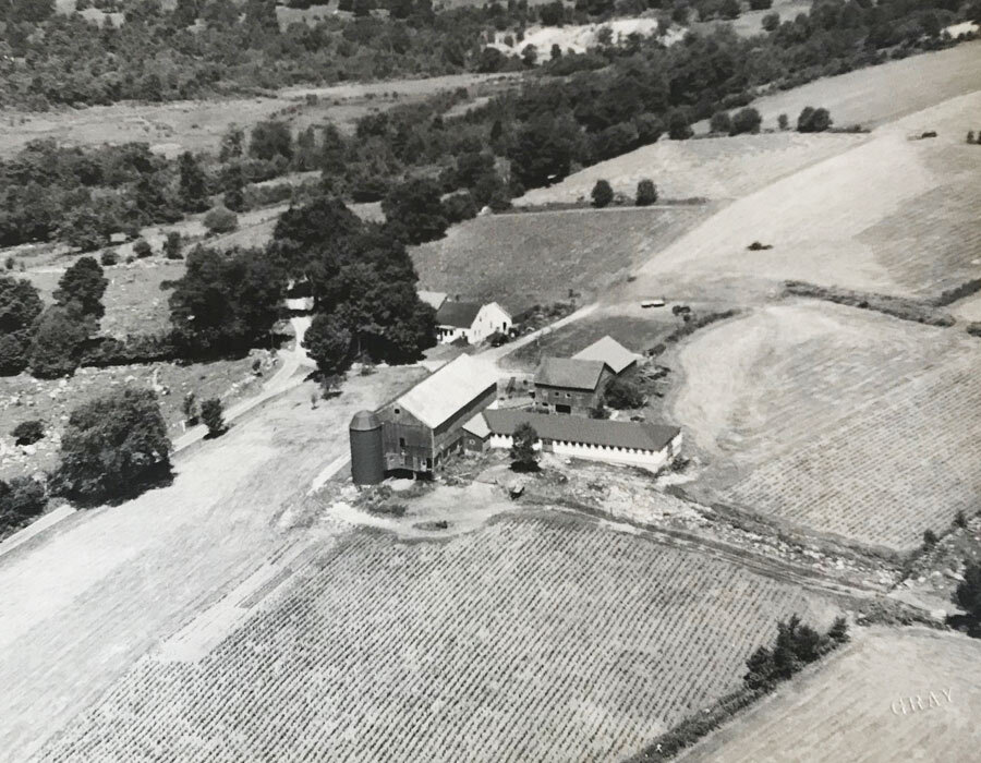 Aerial view of a rural farm with multiple buildings, including a barn and silo, surrounded by fields and trees, showcasing agricultural land in black and white.